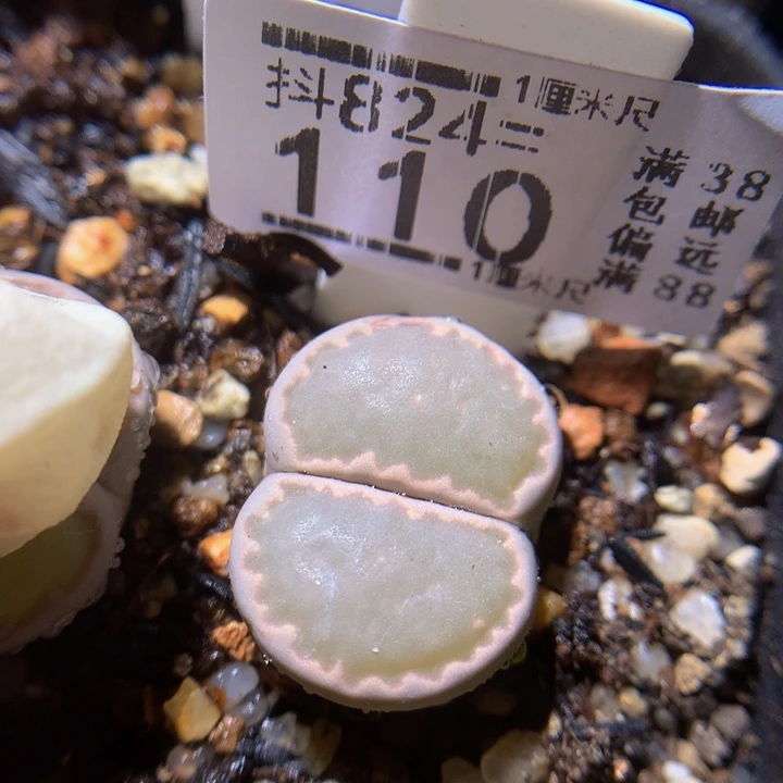 精品生石石824.110