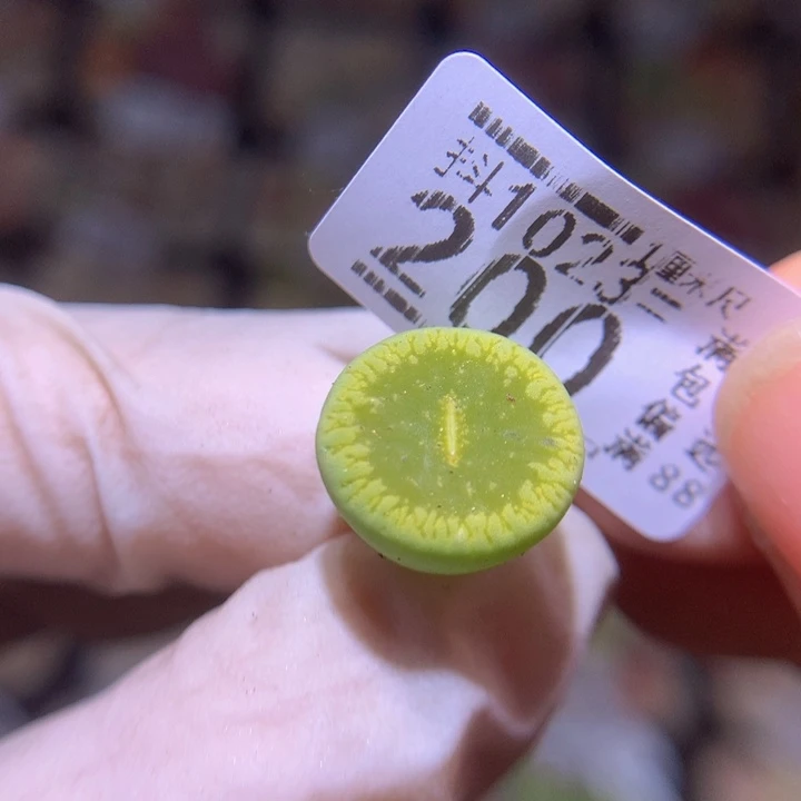 吃****薯精品生石花1023.200