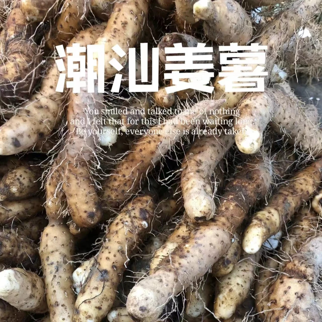 姜署【阿娟鱼胶福利】