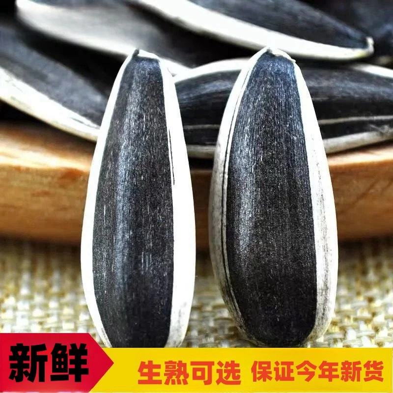 内蒙正宗原味批发新货大颗粒葵花特大团购厂家直销葵花籽新鲜休闲
