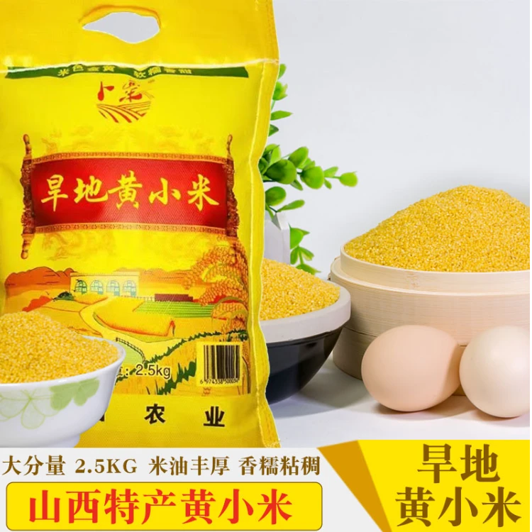 2024山西旱地黄小米营养煮粥月子米颗粒饱满金黄健康