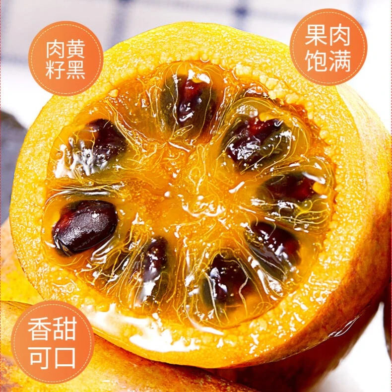 新选九月黄种子四季播种阳台盆栽小院种植简单夏季开花高产水果Z