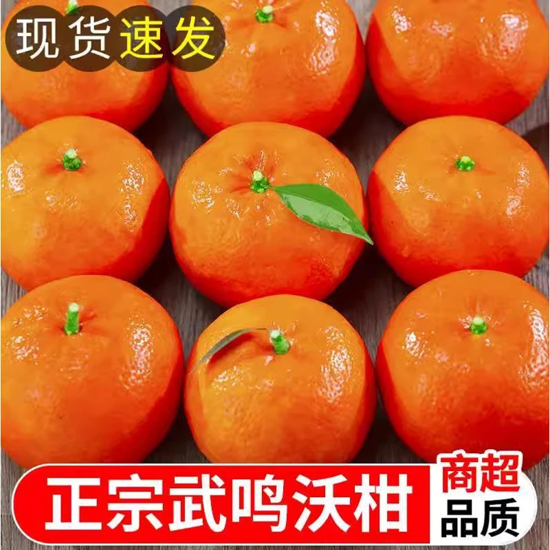 广西正宗武鸣沃柑新鲜水果当季整箱现摘现发5/9斤桔子橘子