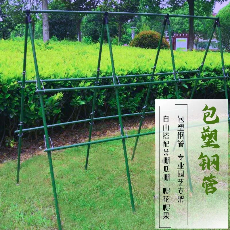 种菜架子爬藤花架户外葡萄架包塑钢管豆角黄瓜丝瓜花支室外攀爬架