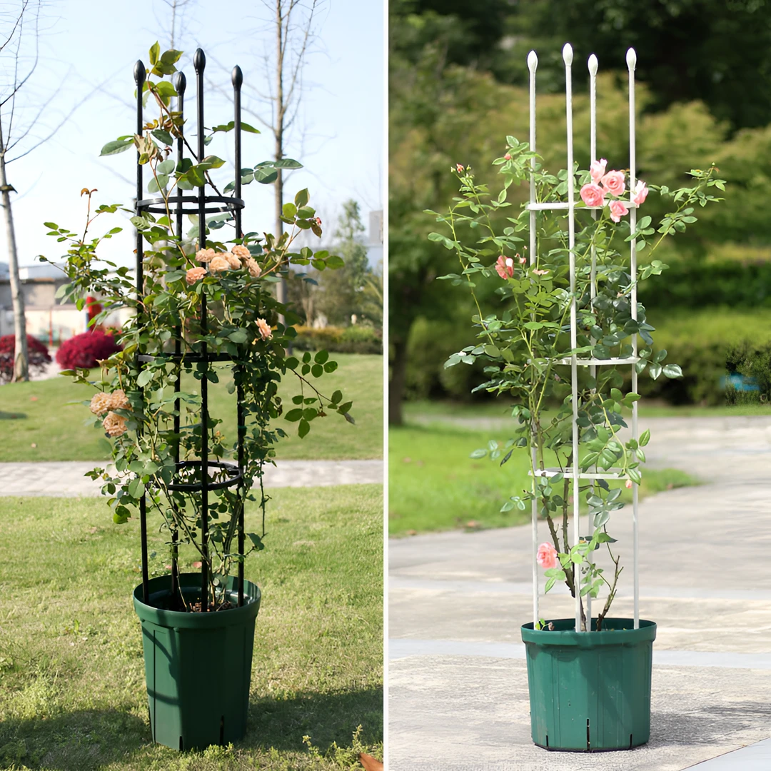 家用园艺爬藤花支架植物爬藤架月季铁线莲攀爬组合花架阳台支撑架