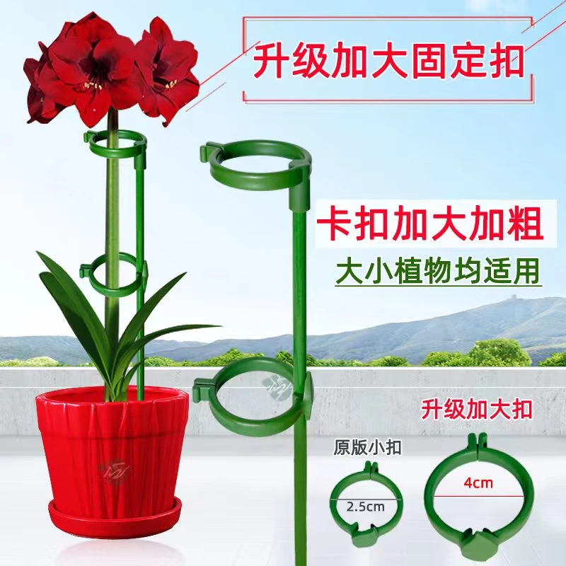 园艺绑花支架防倒植物支撑杆花枝固定器花草花支撑架花卉扶正绿植