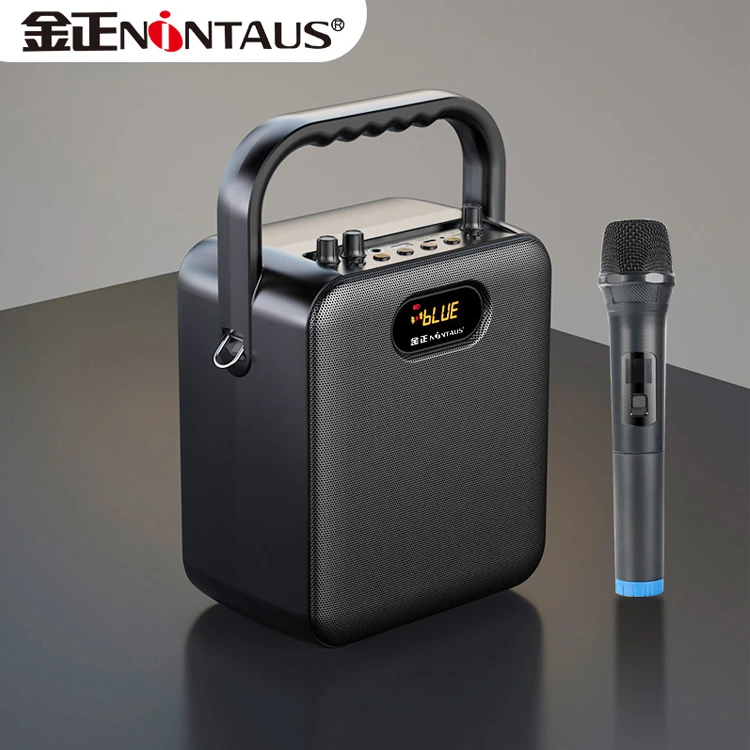 NINTAUS/金正手提广场舞音响无线话筒声卡蓝牙音箱大功率便携式