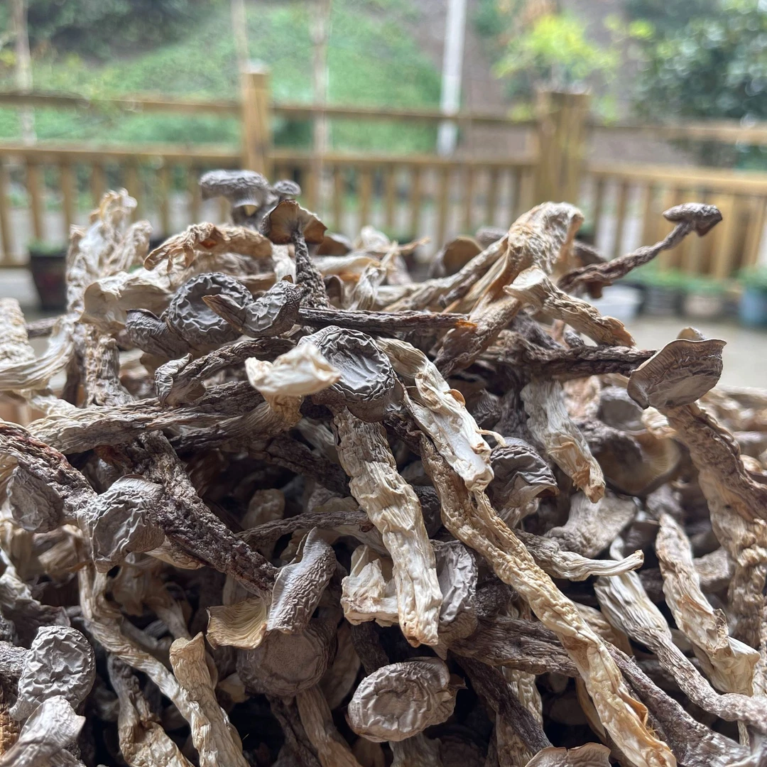 【高山鹿茸菇】农家鹿茸菇无硫无熏干货菇凉拌炒肉煲汤营养菌菇汤