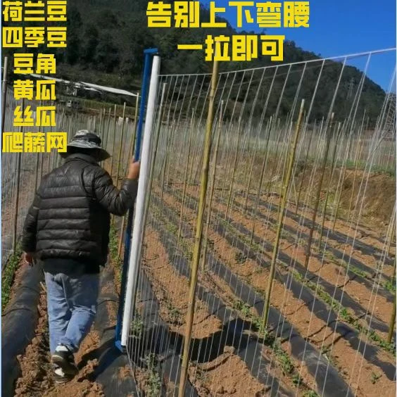 豆乐爬藤网四季豆网豌豆网豇豆豆角网豆种植免挂线厂家豆角爬藤网
