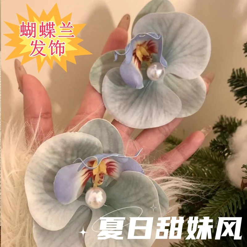 可爱氛围感高版本3D仿真蝴蝶兰发夹大号头花头饰发饰2024新款高端