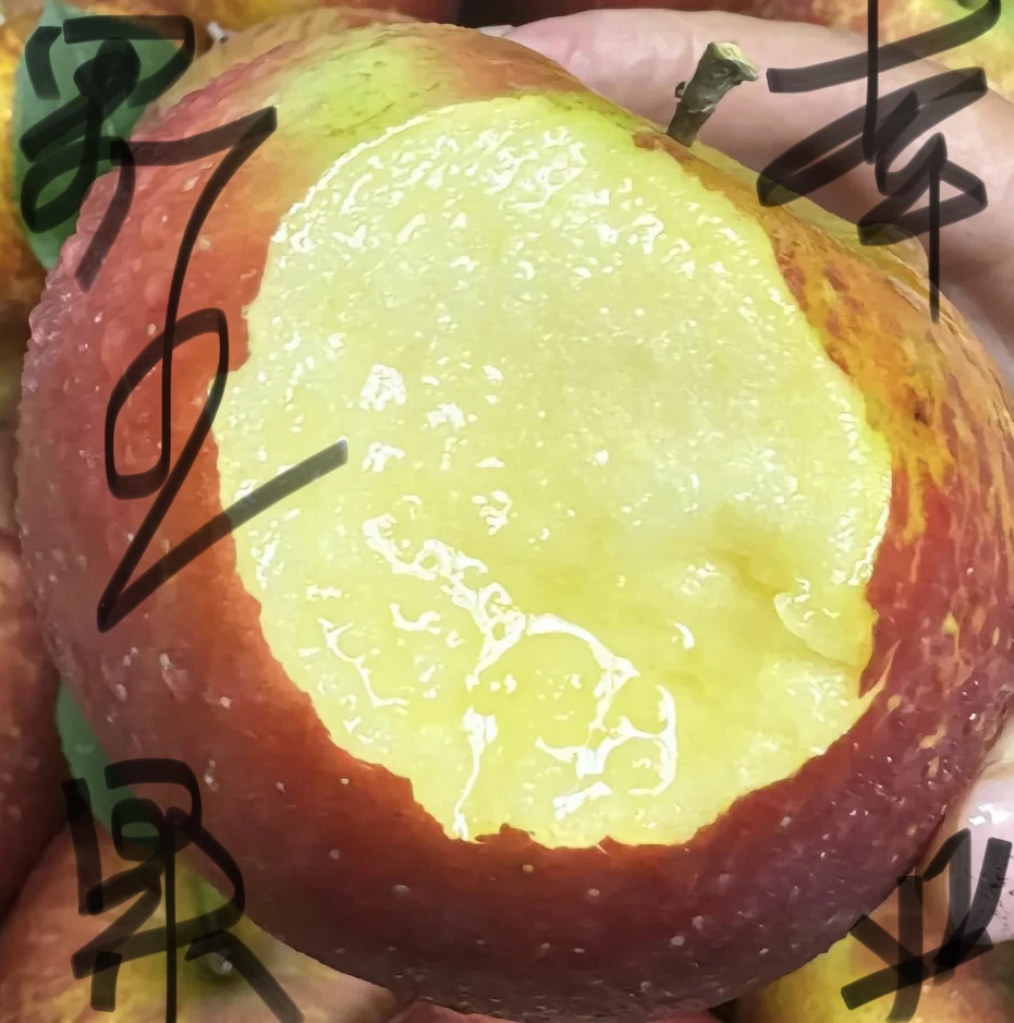 昭通丑苹果迷你果