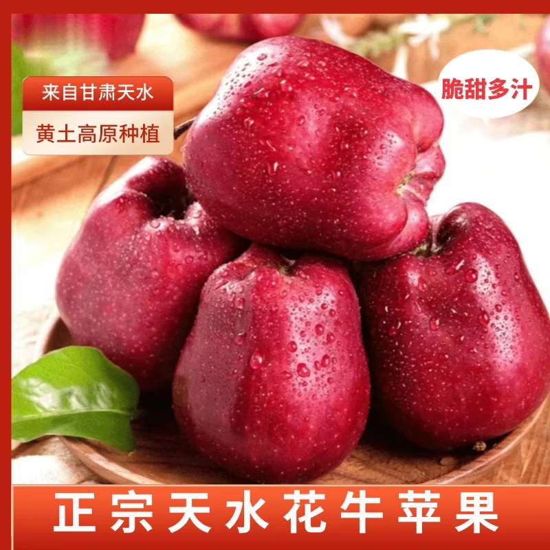 【带箱9-10斤】天水花牛苹果新鲜采摘脆粉两吃黄土高原种植