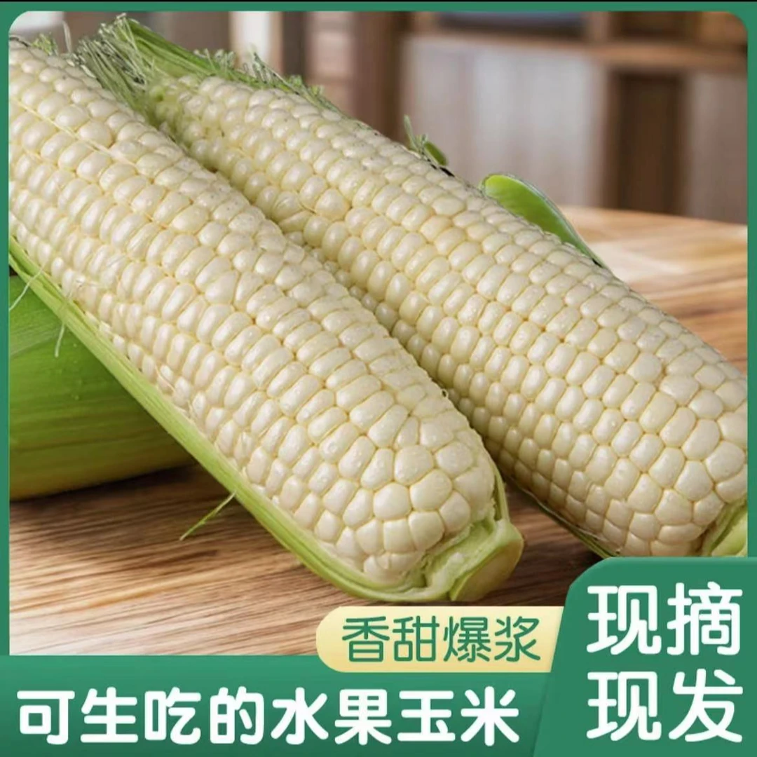 【悠悠佳荣】 牛奶爆浆水果玉米 净重4斤(5-8根）
