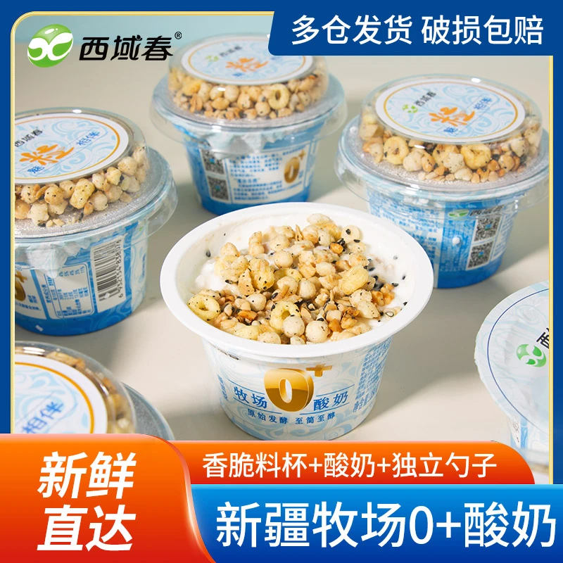 新疆西域春 牧场0+老酸奶益生菌180克X10杯装整箱早餐谷物老酸奶