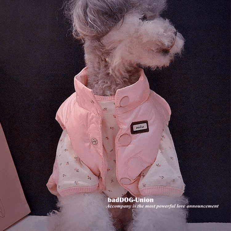 狗狗猫咪秋冬新款雪纳瑞比熊马尔济斯加绒马甲高弹猫背心保暖柔软