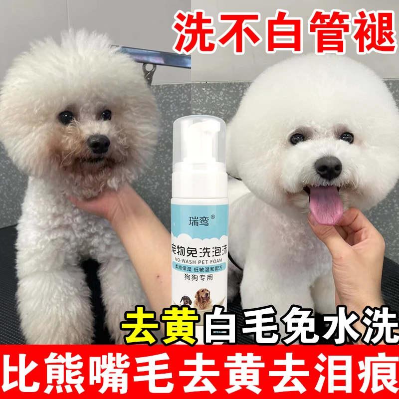 比熊免洗泡沫嘴毛清洁去黄去脏狗狗清洁去泪痕脏尿渍宠物干洗泡沫