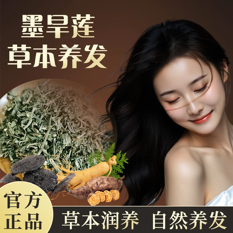 【拍1发3】墨早莲植萃润护液yl-3