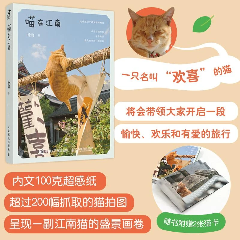 喵在江南 猫咪摄影集徐岩猫咪写真随笔 可爱宠物摄影写真街猫拍摄