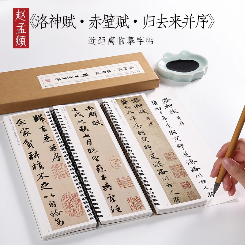 赵孟頫近距离书法临摹字卡合集