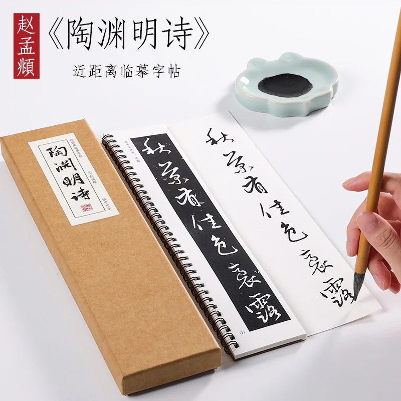 元 赵孟俯 行书 《陶渊明诗》赵孟頫毛笔临摹书法近距离对临字帖
