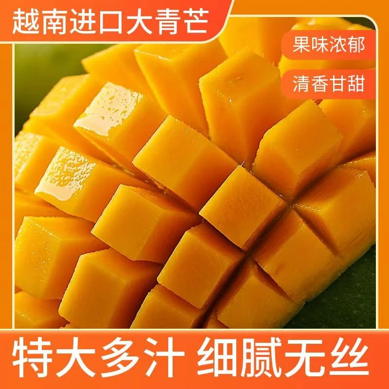 【芒果】越南进口青芒果玉芒香甜芒果饱满多汁带箱3斤250g起装当季