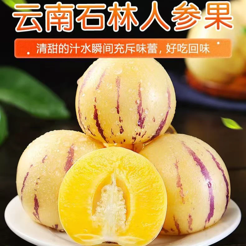 云南石林人参果现摘自然成熟皮薄多汁坏果包赔4.5-5斤