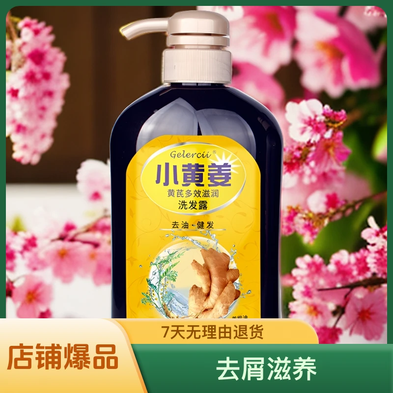 控油蓬松洗发露黄芪侧柏叶小黄姜健发多效去油清爽提取物去屑滋养