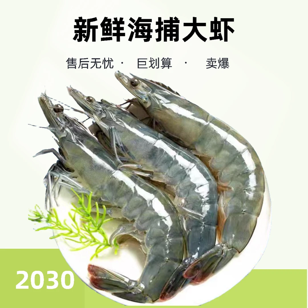 新鲜海捕大虾2030大号海水虾5斤5包大虾60-75只新鲜活虾液氮速冻
