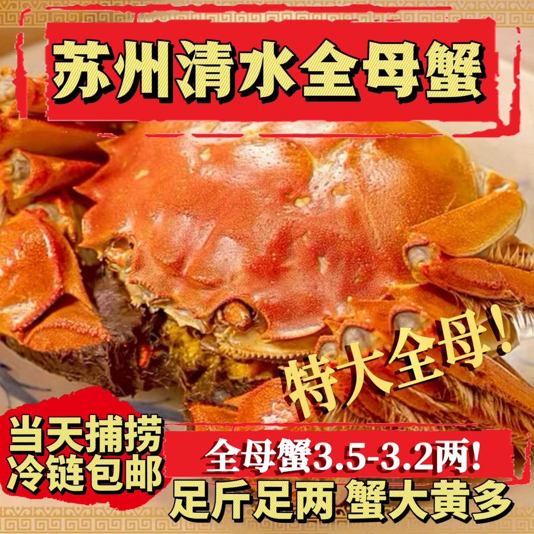 K【活蟹】苏州高标养殖清水大闸蟹全母蟹3.5-3.2两买8送2共10只！！