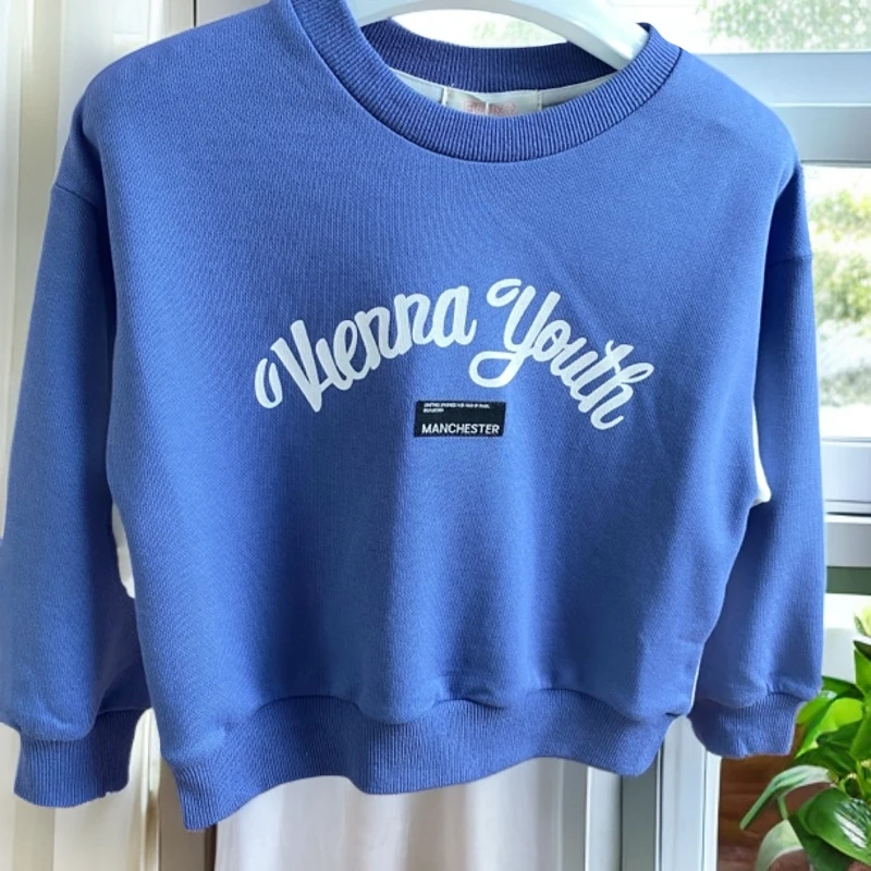 2024春秋装儿童 长袖t恤秋男童新款体恤中小童童装打底衫