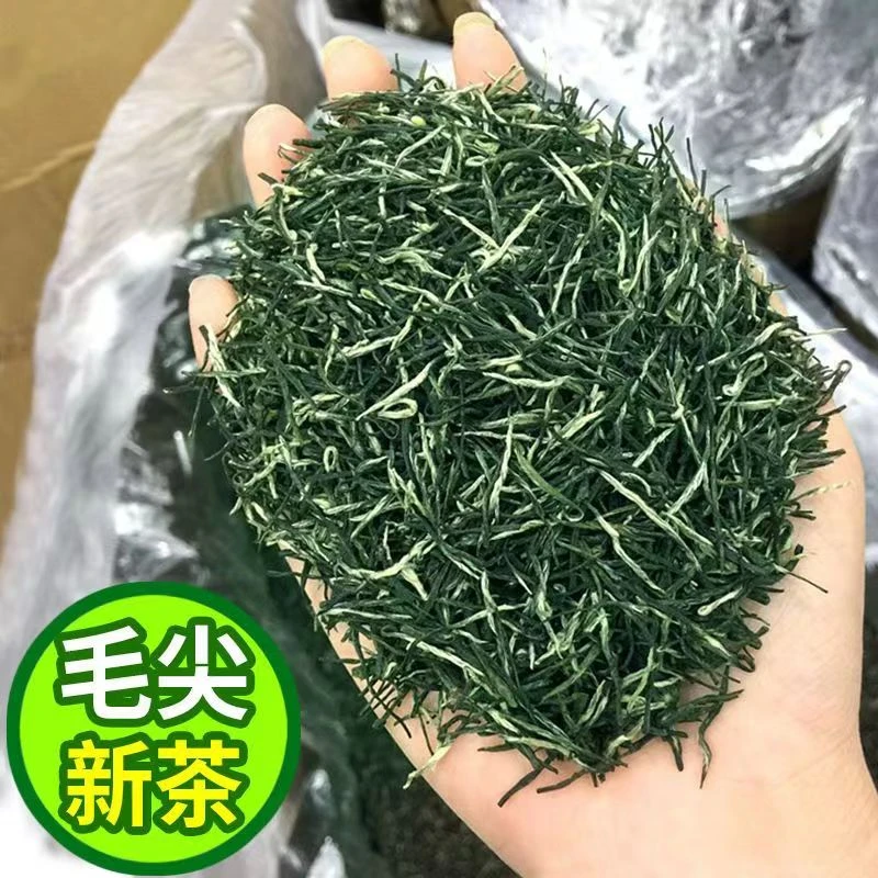 直条毛尖绿茶1# 毛尖中段茶叶 贵州湄潭原产地高山绿茶