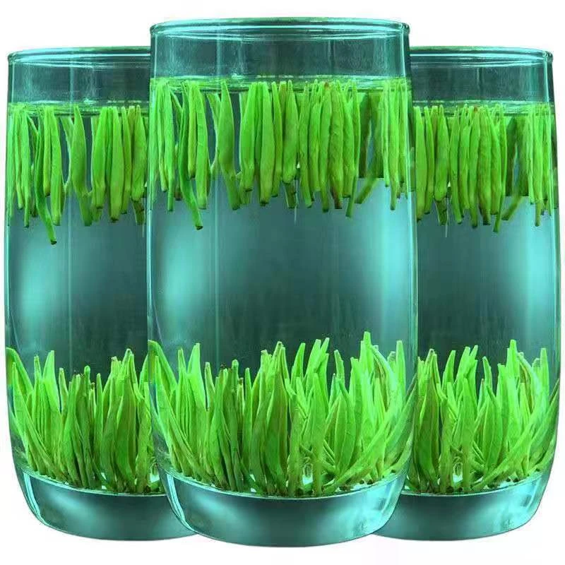 雀舌茶叶鲜嫩新茶贵州湄潭翠芽手工送礼访友高品质早春翠绿口感好