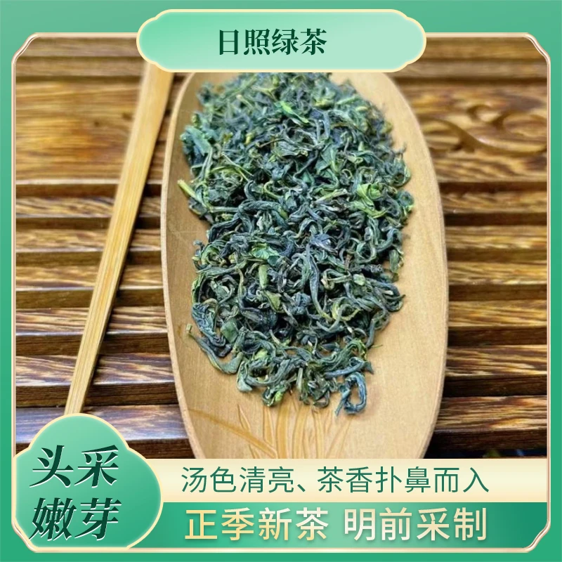 日照绿茶板栗香麦芽黄正宗源头优质传统茶山高品质醇厚好茶500g