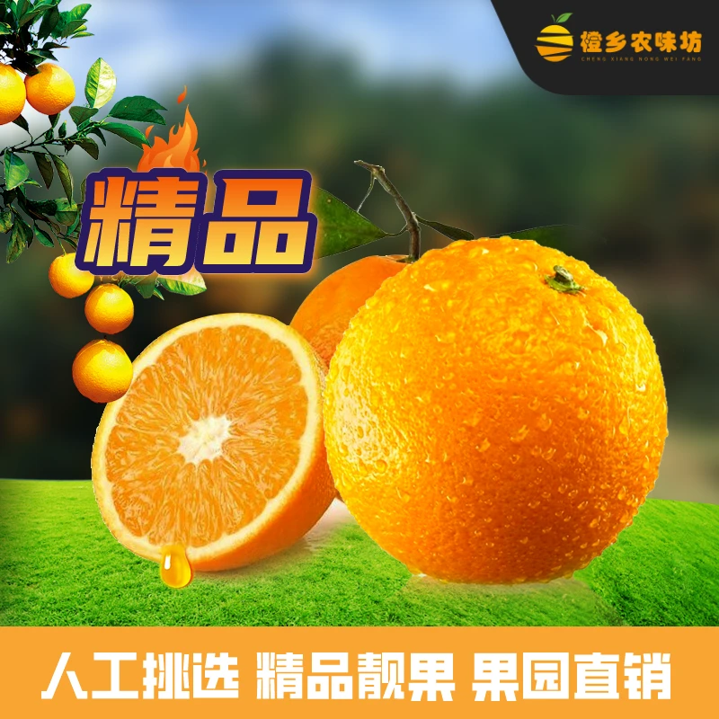 【精品】江西赣南脐橙新鲜水果现摘橙子香甜纽荷尔赣橙酸甜细腻包邮