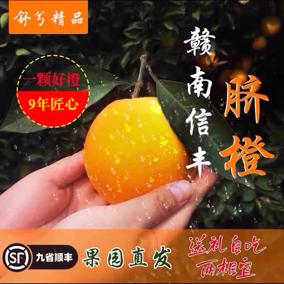 舒兮正宗江西赣南信丰脐橙产地直发送礼自吃