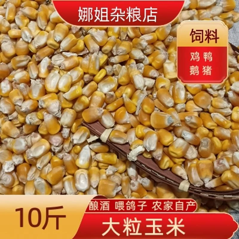 2023粮农家10斤装玉米粒鸽子粮酿酒鸡鸭鹅家禽等饲料打窝喂鱼饲料