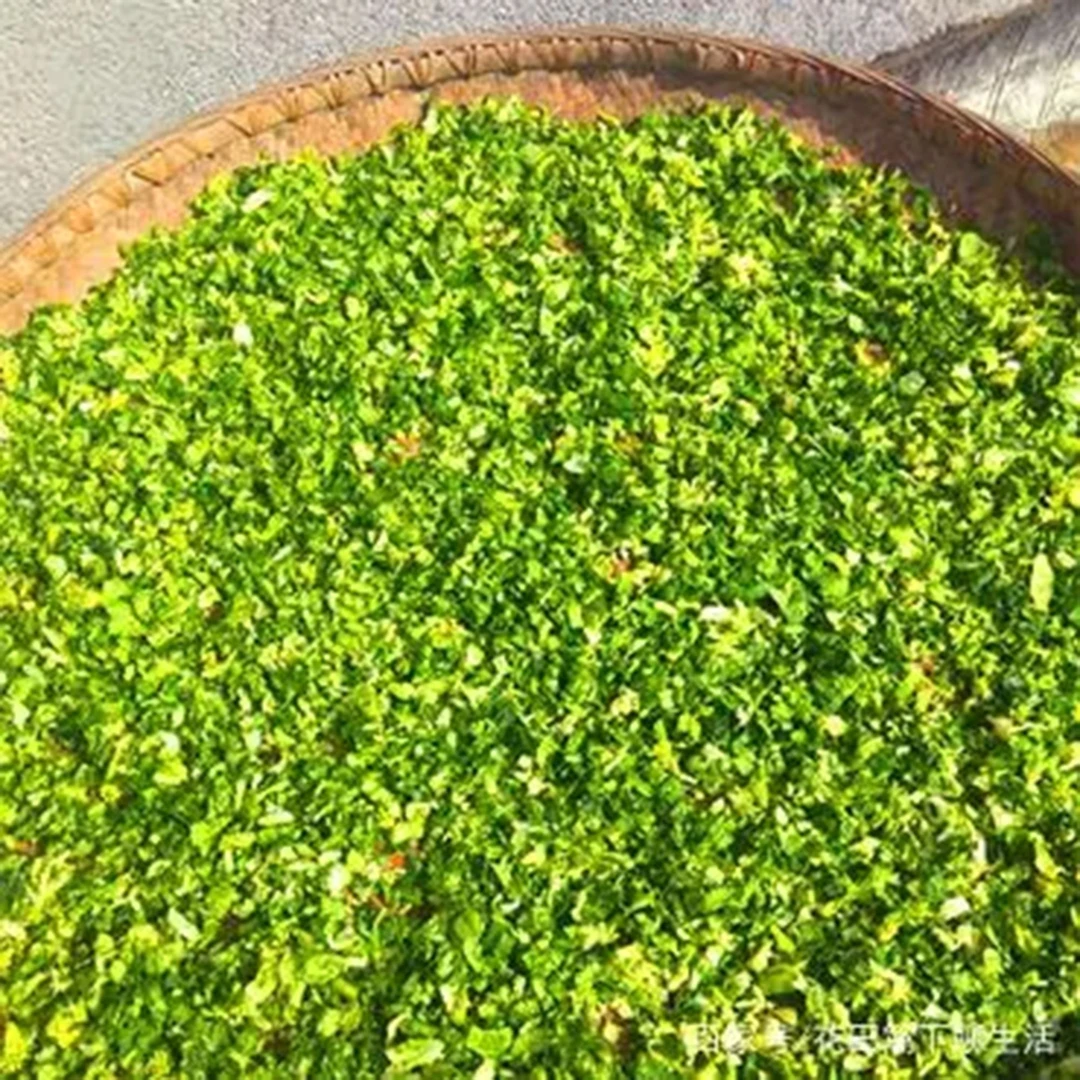 【竹山土特产】金刚优选农家自制美味干盐菜系列