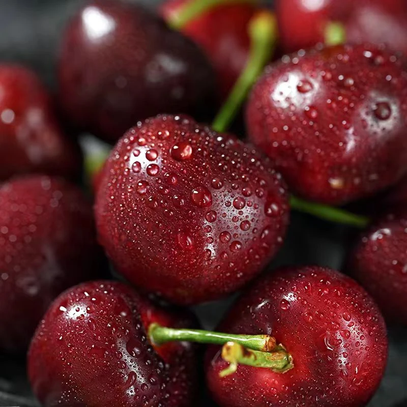 大连美早樱桃4J 与1斤