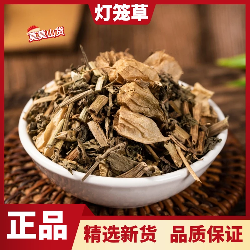 野生灯笼草 天泡草 打卜草甄选山区正品黄灯笼红姑娘散装非益母草