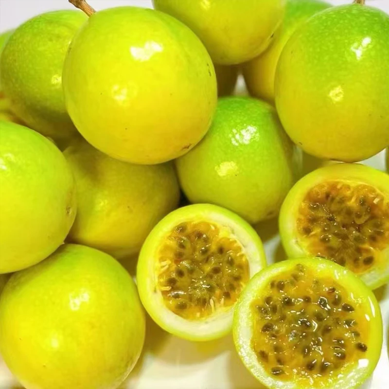正宗钦蜜九号百香果黄金百香果新鲜水果坏果包赔