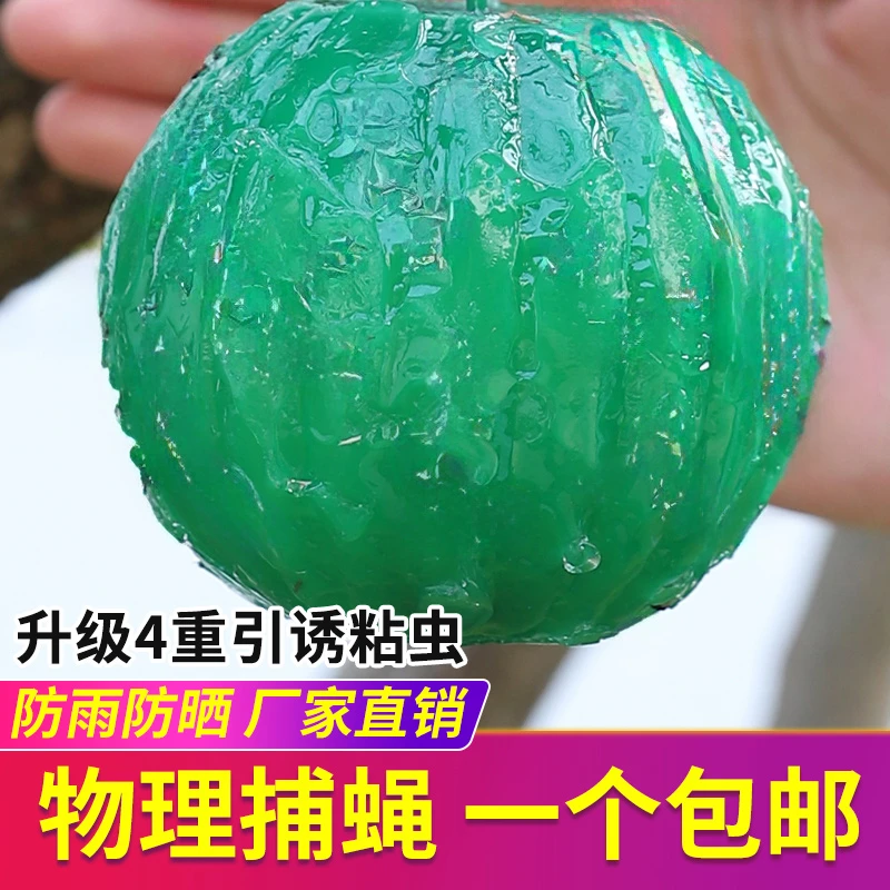 粘虫球室内去除小飞虫克星果蝇诱捕器厨房水果店蠓虫灭杀苍蝇好物