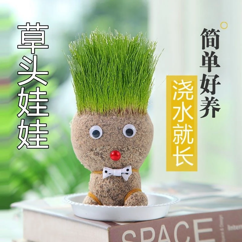 猫草娃娃头上长草娃娃治愈系带底吸水新奇植物办公室学生种植盆栽