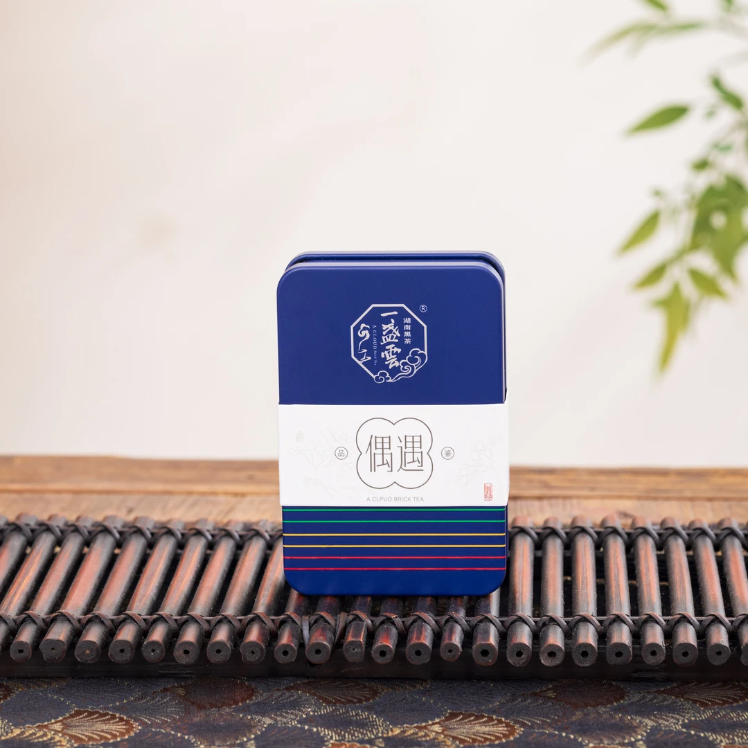 21年偶遇荷叶黑茶品鉴装