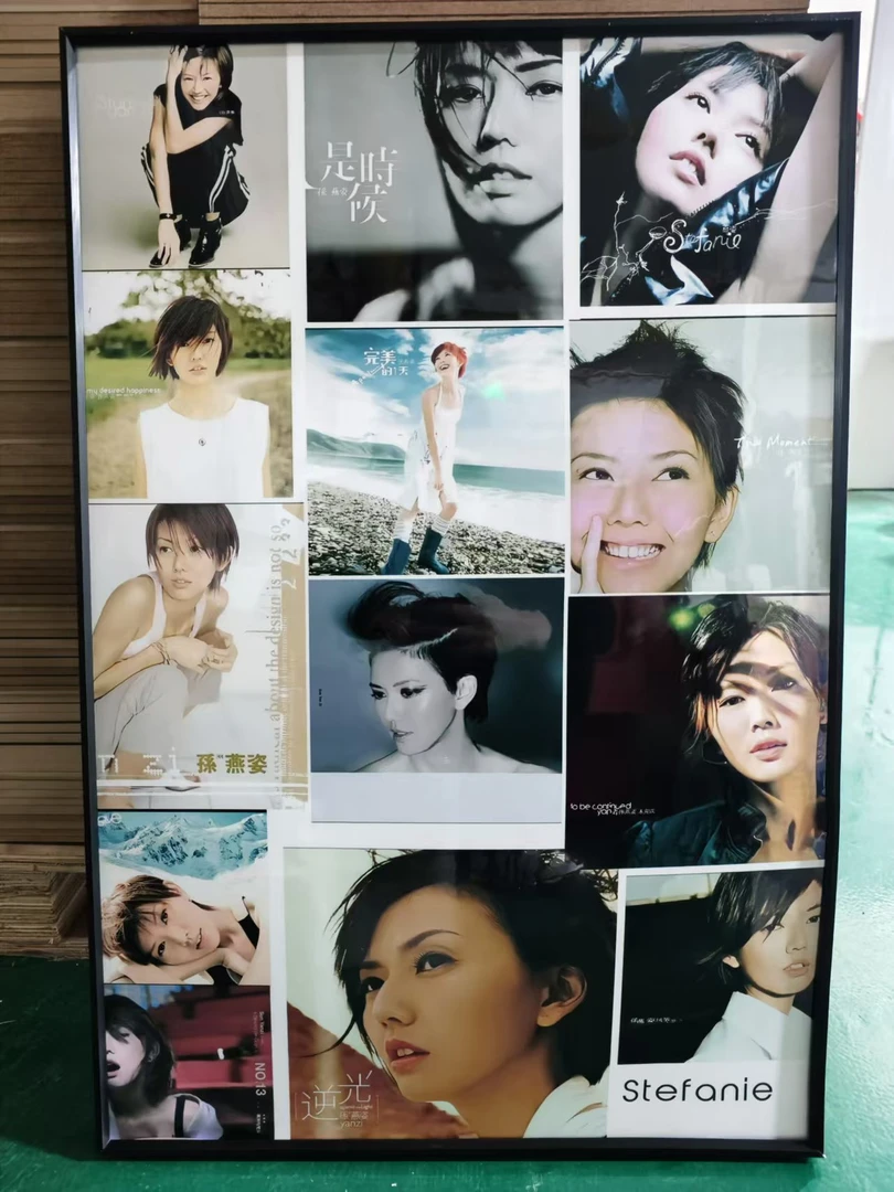 孙燕姿唱片专辑封面合集 PVC 40x60  家居  电竞房 晶瓷画挂画