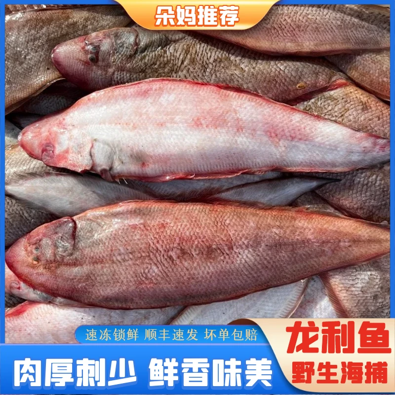 【朵妈海鲜】本港纯野生龙丽鱼踏板鱼海鲜水产顺丰约3-4条/斤5斤
