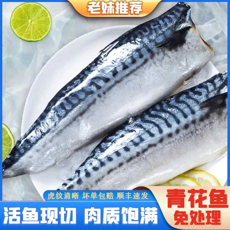 【老妹海鲜】免处理大西洋青花鱼片鲭花鱼新鲜210-230g/片