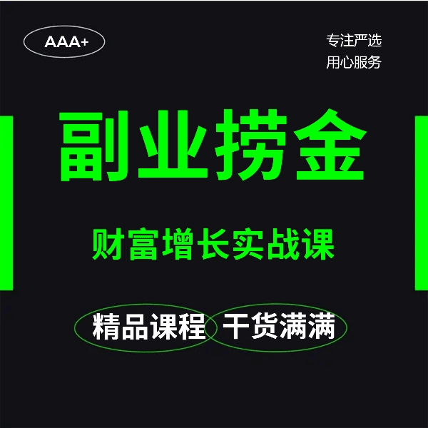 副业捞金/财富增长实战课