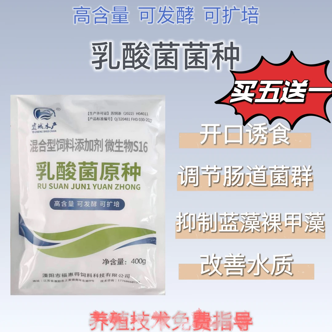 水产养殖发酵乳酸菌菌种诱食调理肠胃降低碱度抑制蓝藻有害藻鱼塘