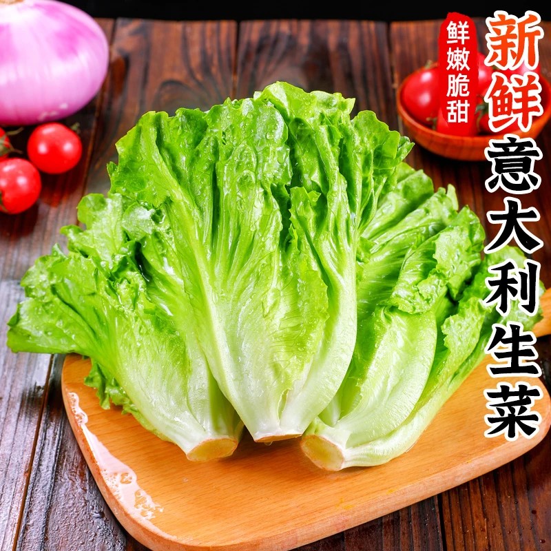 【鲜嫩脆甜】新鲜意大利生菜1-5斤生吃青菜沙拉蔬菜农家现摘绿叶菜