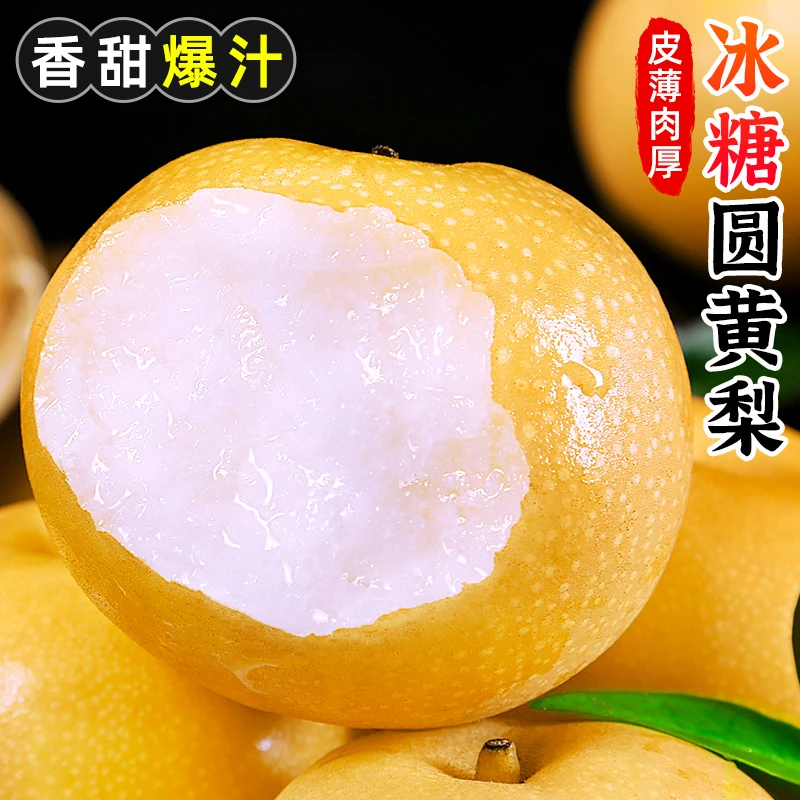 【香甜爆汁】冰糖圆黄梨2-8.5斤黄雪梨丰水梨香梨新鲜水果皮薄肉厚